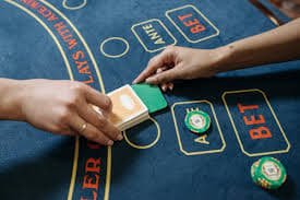 Bet confirmation and tracking interface